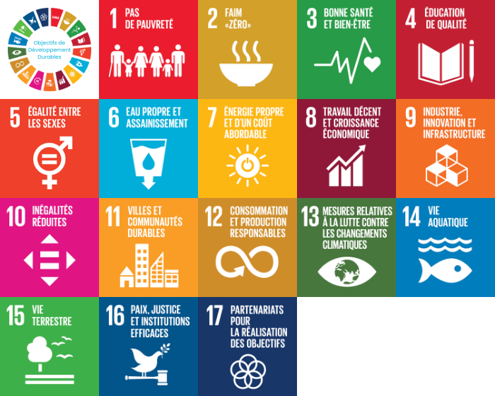Grilles des 17 Objectifs de Développement Durable établis par les Nations Unies