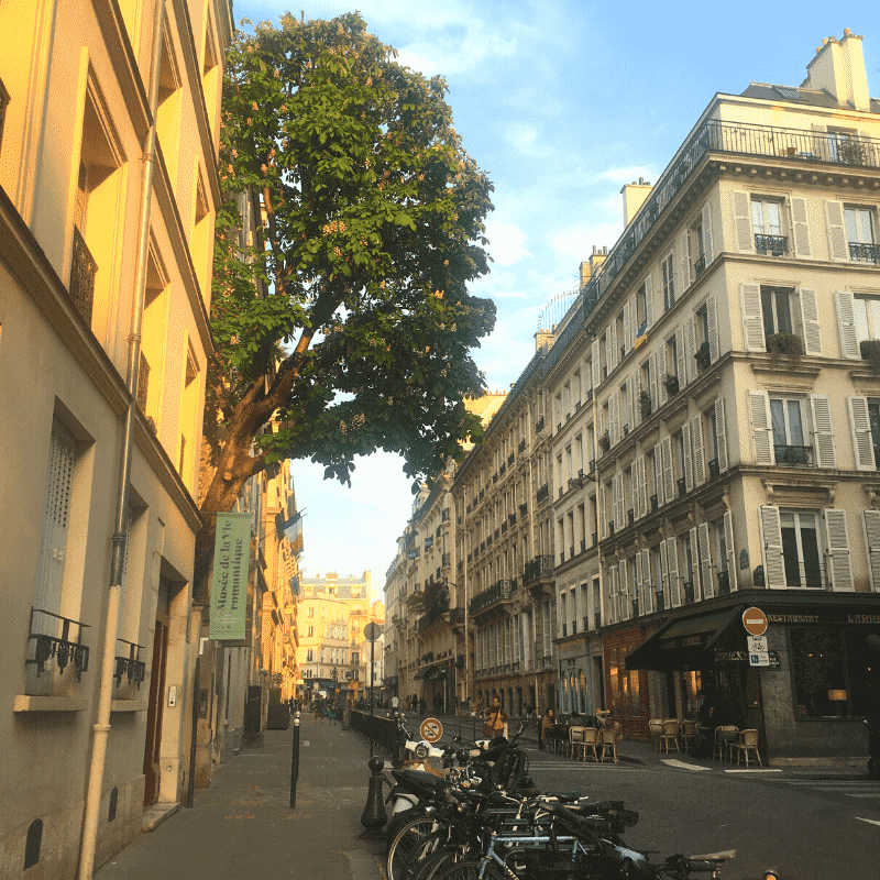 Arbre semblant sortir de la fenêtre d'un immeuble